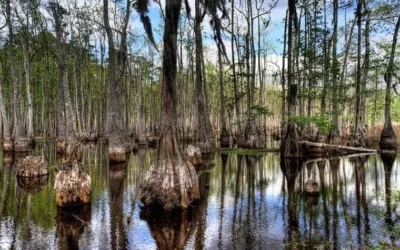 7 Things To Do In Southwest Louisiana If You Didn’t Have Back Pain